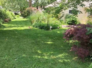 Sherri A.'s lawn service service result