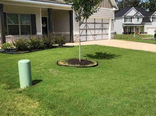 Jeffrey G.'s lawn maintenance service result