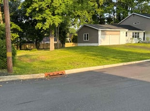 Frank V.'s lawn maintenance service result