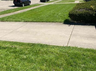 James S.'s lawn maintenance service result