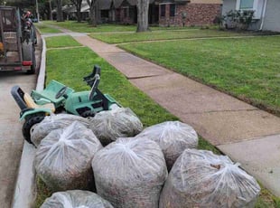 Julia R.'s Leaf Removal service result