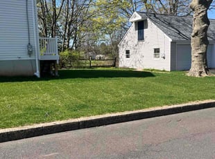 Alan K.'s grass cutting service result