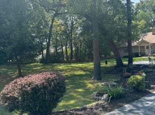 John M.'s turf care service result