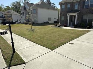Michael M.'s lawn care service result