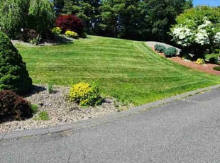 Deborah A.'s lawn service service result