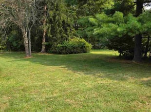 Selwyn M.'s lawn care service result