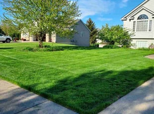 Monte C.'s lawn care service result