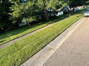C. A.'s lawn maintenance service result