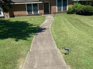 Lewis G.'s grass cutting service result