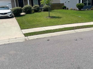 Robert S.'s lawn service service result