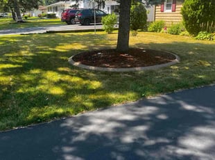 Sharman M.'s lawn care service result