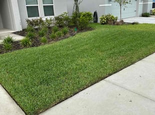 William H.'s grass maintenance service result
