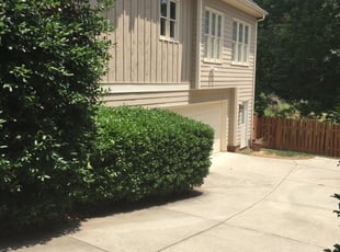 Bryan B.'s Bush Trimming service result