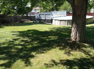 Patti L.'s turf care service result