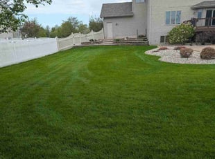 Yolanda M.'s grass cutting service result