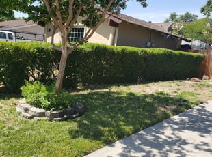 Tammy W.'s Bush Trimming service result