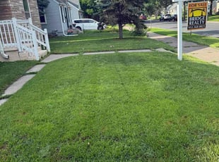 Heather A.'s grass maintenance service result