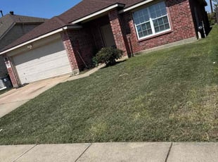 Joe F.'s grass maintenance service result