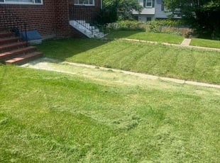 Bruce B.'s lawn service service result