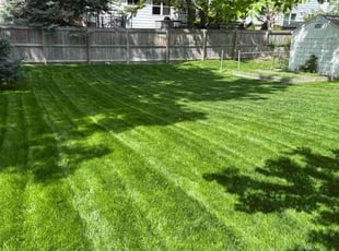 Bruce C.'s grass maintenance service result