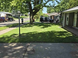 James P.'s lawn care services service result