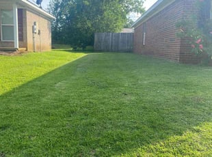 Hung H.'s lawn care services service result