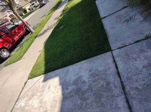Erica C.'s lawn maintenance service result