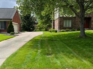 Karen J.'s grass cutting service result