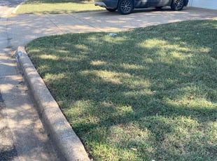 Toni M.'s grass maintenance service result