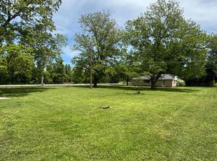 Rob S.'s turf maintenance service result