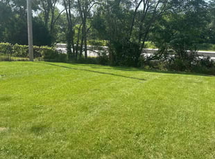 George R.'s lawn care services service result