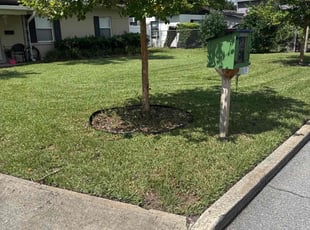Natalie M.'s grass cutting service result