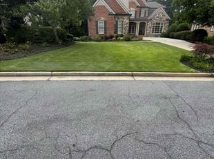 Brianna W.'s lawn care service result