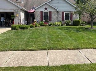 Jan T.'s lawn care service result