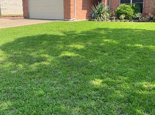 Tara A.'s lawn care service result
