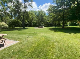 Dominic H.'s grass maintenance service result