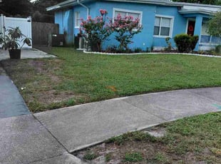 Adelina B.'s lawn care service result