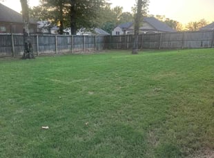 Chris V.'s lawn maintenance service result