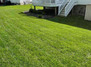 Varun D.'s grass maintenance service result