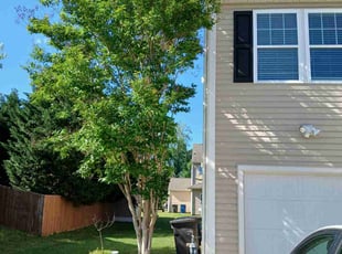 Alex H.'s Tree Care service result
