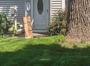 Cathy D.'s grass cutting service result