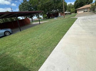 Teresa L.'s turf care service result