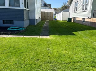 Daniel S.'s lawn care service result