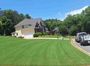 Marina A.'s lawn care services service result