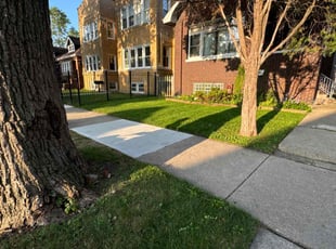 Art A.'s turf care service result