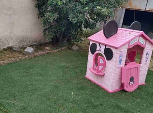 Jesse V.'s lawn service service result