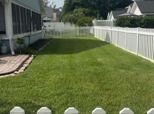 Kirill I.'s lawn care service result
