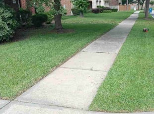 Kirk P.'s lawn care service result