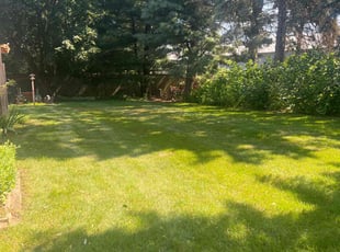 Brooklyn L.'s lawn service service result
