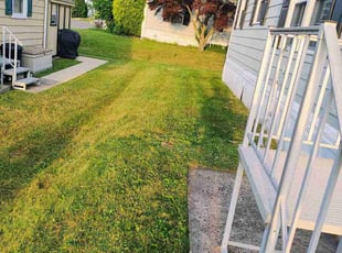 Brad W.'s grass maintenance service result